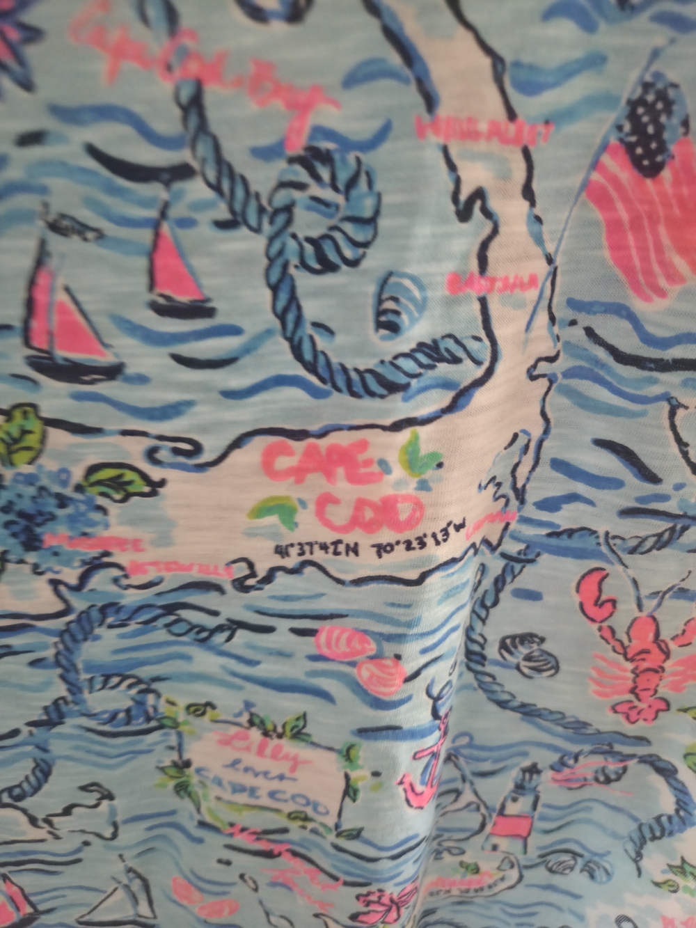 Lilly Pulitzer- Lilly Loves Cape Cod - Picture 5 of 6